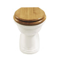 Carlyon Back to Wall Toilet by Imperial Bathrooms