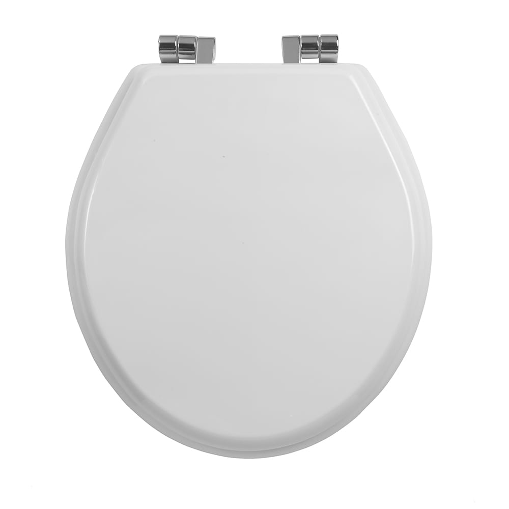 Oval soft-close toilet seat in painted white