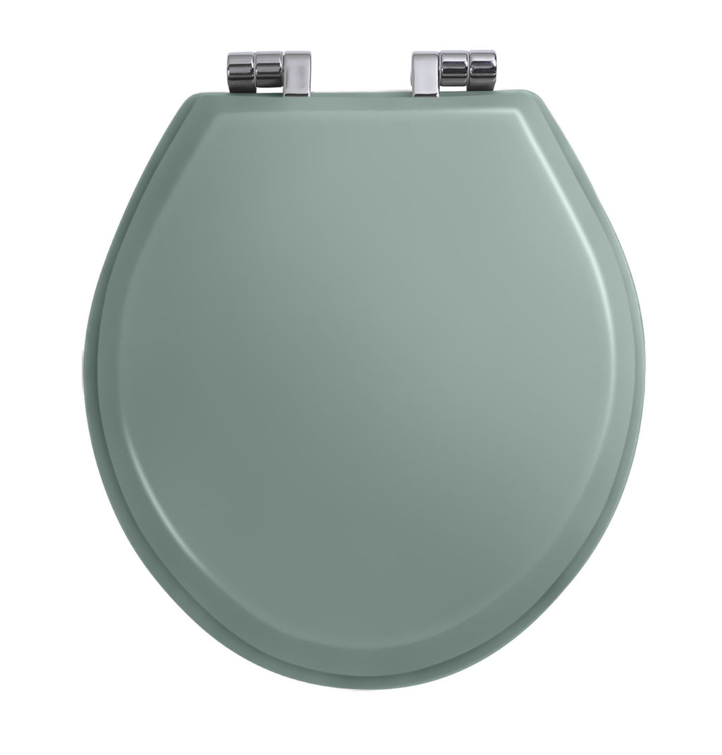Windsor soft-close toilet seat in Sea Mist Smooth with chrome hinges