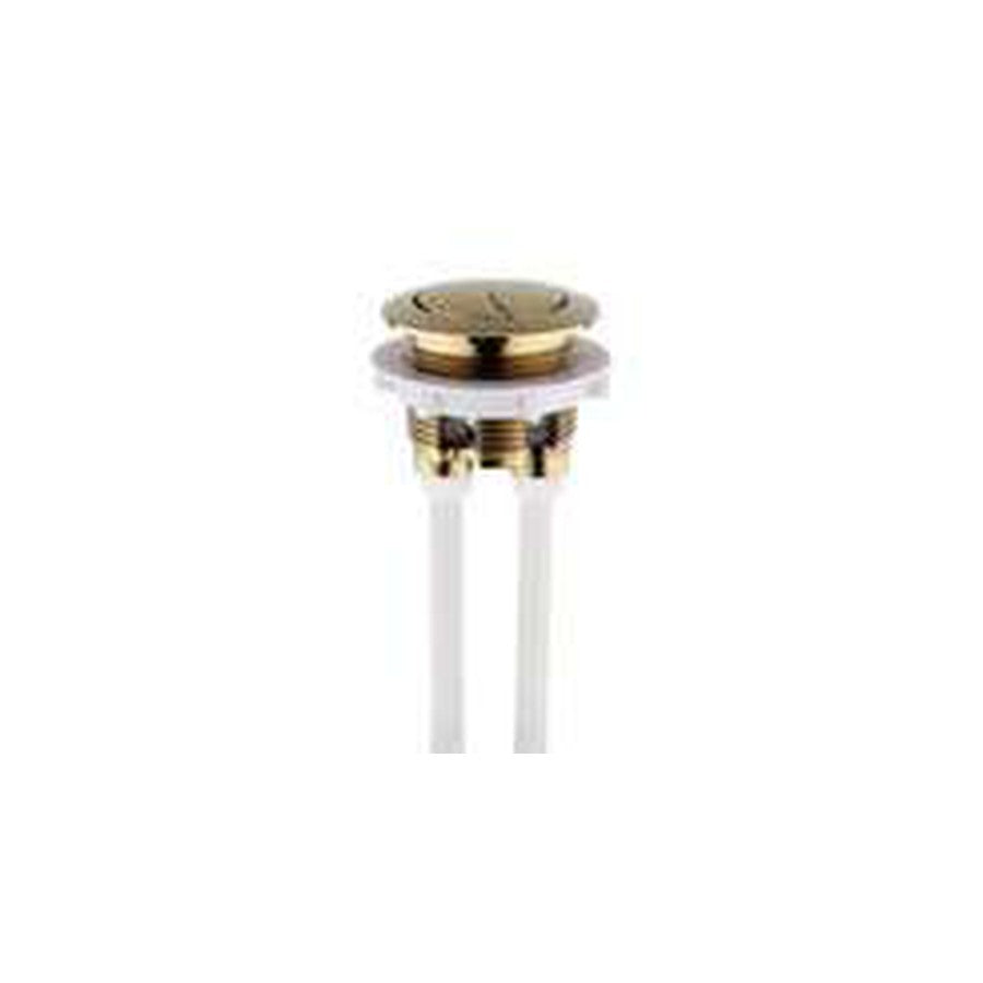 Cistern Push Buttons, Brushed brass