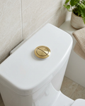 Cistern Push Buttons, brushed brass in a bright modern bathroom