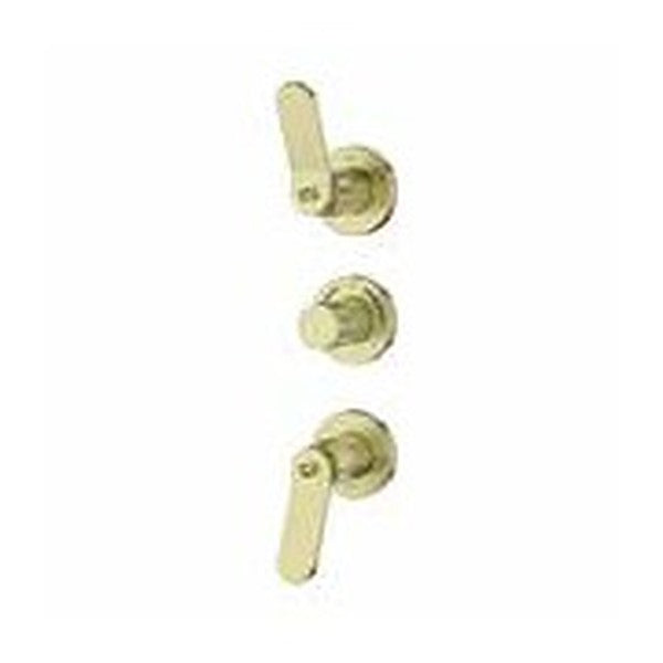 Industra 2-Outlet Concealed Shower Valve – Brushed Brass