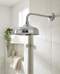 Traditional Shower Head, Chrome in a bright modern bathroom