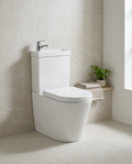 2-in-1 Toilet & Basin Combination in a bright modern bathroom
