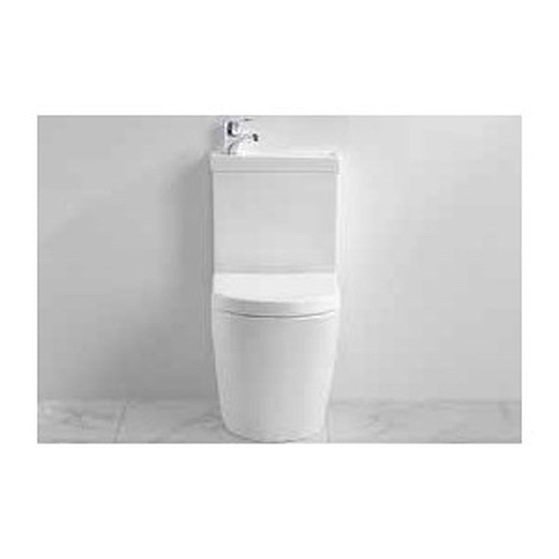 2-in-1 toilet and basin combination